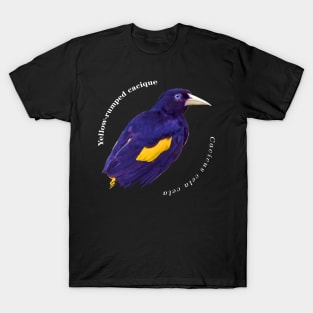 Yellow-rumped cacique tropical brd pin white text T-Shirt